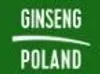 The image displays the words "GINSENG" and "POLAND" in large, white, sans-serif font against a green background. A white line separates the two words. Produktbild-Vorschau