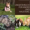 BodenHerz Bodenaktivator, mit Mineralien 100% Natürlich mit Produktbild-Vorschau 8