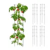 Podpera na rajčiny 5 ks, RD49279, 120cm Náhľad obrázku produktu 1