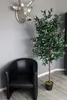 Großer künstlicher Olivenbaum Premium 185 cm Echtholzstamm Produktbild-Vorschau 5