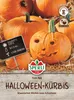 SPERLI Kürbissamen Tom Fox Cucurbita pepo 8 Pflanzen Produktbild-Vorschau 1