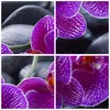 Bild auf Leinwand - Leinwandbild - Blumen Steine Violett Produktbild-Vorschau 8
