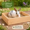 Buddelsand für Kaninchen 20 kg | Natürlicher grabfähiger Produktbild-Vorschau 7