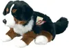 Teddy-Hermann Teddy Hermann cane da montagna bernese Anteprima dell’immagine prodotto 6