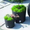Two planters with grass and plants on a patio. Anteprima dell’immagine prodotto