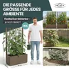 XL Spalier 'Ethica' mit Pflanzkübel Breit 80x36x140 cm - Produktbild-Vorschau 6