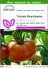 SAFLAX  - Tomate Brandywine - 10 graines - Avec substrat - Voir les images du produit 1