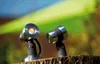 Oase LunAqua Maxi LED Set 1 Teichbeleuchtung Produktbild-Vorschau 12