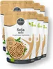 BORCHERS 6x  Premium Sojamehl (6x350g) Produktbild-Vorschau 1