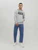 Jack & Jones 12152840, Erwachsener, Grau, L, Baumwolle, Produktbild-Vorschau 13