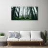 Tulup Leinwand-Bilder 100x50 Wandbild Canvas Kunstdruck Produktbild-Vorschau 3