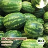Samenliebe  Melone Samen | Crimson Sweet - gestreift & sehr Produktbild-Vorschau 4