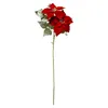 Étoile de Bethléem, fleur pour couronne de Noël, 75 cm Voir les images du produit 1
