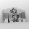 Bild auf Leinwand - Leinwandbild - 5 Teile - Baum Symmetrie Produktbild-Vorschau 4