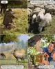 2Stk Wildkamera 4K 36MP Abzugsentfernung Bis 20m mit Produktbild-Vorschau 9