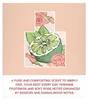 MEXX Simply for Her, agua de toilette, 20 ml Vista previa de la imagen del producto 4