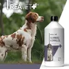 REAVET Schwarzkümmelöl 500ml für Hunde & Pferde - Produktbild-Vorschau 6