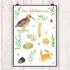 Mr. & Mrs. Panda Bild Wattenmeer DIN A4 - Geschenk, Produktbild-Vorschau 2