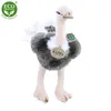 RAPPA Struzzo di peluche 32 cm ECO-FRIENDLY Anteprima dell’immagine prodotto 8