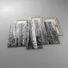 Bild auf Leinwand - Leinwandbild - 3 Teile - Birken Wald Produktbild-Vorschau 2