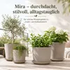 Pflanztopfuntersetzer Mira Taupe Ø 29cm - Frostsicher & Produktbild-Vorschau 7
