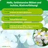 Purgrün Frangipani-Dünger 1 Liter, Produktbild-Vorschau 3