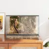 vidaXL Terrarium mit Speicher Transparent 40 x 30 x 30 cm Produktbild-Vorschau 4