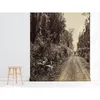 Coloray Fototapete 290x290 cm Latextapete Magicstick - Produktbild-Vorschau 4