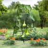 WISFOR Treillis pour concombre, treillis en forme de A avec Voir les images du produit 4