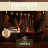 VON STEINEICH® XXL Outdoor Kerze Windfest | 30h Brenndauer Produktbild-Vorschau 4