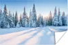 MuchoWow® Poster Wald - Schnee - Winter 180x120 cm - Produktbild-Vorschau 1