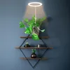 Časovo riadené svetlo pre rast rastlín Rastová lampa LED Náhľad obrázku produktu 9