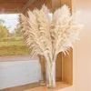 set di 10 erbe di pampa XXL (100 cm) per decorazioni boho - Anteprima dell’immagine prodotto 5