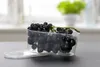 A clear plastic container with a lid, filled with dark grapes, sits on a dark surface. The background is blurred, showing a hint of a plant and a window. Produktbild-Vorschau