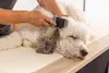 Moser 2999-7085, Katze / Hund, Pinsel, Schwarz, Grün, Grau, Produktbild-Vorschau 2