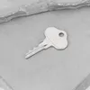 2er-Pack Zündschlüssel für GEHL Lader, Ersatz OEM 089070 Produktbild-Vorschau