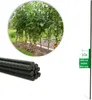 Novatool 10 bastoni per piante 150 cm verde Diametro 11 mm Anteprima dell’immagine prodotto 1