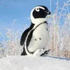 Plüschpinguin 30 cm umweltfreundlich Produktbild-Vorschau 4