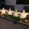 A festive table decoration with star-shaped lights and pine branches. Produktbild-Vorschau