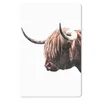 MuchoWow® Mauspad Mousepad Schottische Highlander - Tiere - Produktbild-Vorschau 1