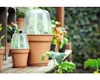 elho green basics Anzuchttopf 30cm - mild tonrot Produktbild-Vorschau 5