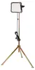 Brennenstuhl 1171580030 proiettore Nero, Grigio 85 W LED D Anteprima dell’immagine prodotto 11