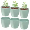 Six green plant pots, three with small plants and soil, three empty. Náhled obrázku produktu