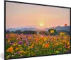 MuchoWow® Gerahmtes Poster Blumen - Sonnenuntergang - Berg Produktbild-Vorschau 1