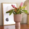 Coupe Vibes Fold Rose Poudré 14cm Pot De Fleurs Design Rose Voir les images du produit 3