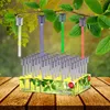 A display of solar-powered garden lights hanging from a tree branch, with a box of the lights in the foreground. Produktbild-Vorschau