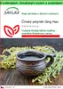 SAFLAX Garden to go - Čínský pelyněk Qing Hao - Artemisia Náhled obrázku produktu 1