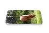 MuchoWow® Handyhülle Schutzhülle Hülle für Samsung Galaxy Produktbild-Vorschau 5