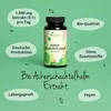 Vegavero Ackerschachtelhalm  | 90 Kapseln | mit Flavonoiden Produktbild-Vorschau 2