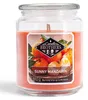 Balthasar 810032.004, Zylinder, Orange, Mandarine, 100 h, 1 Produktbild-Vorschau 5